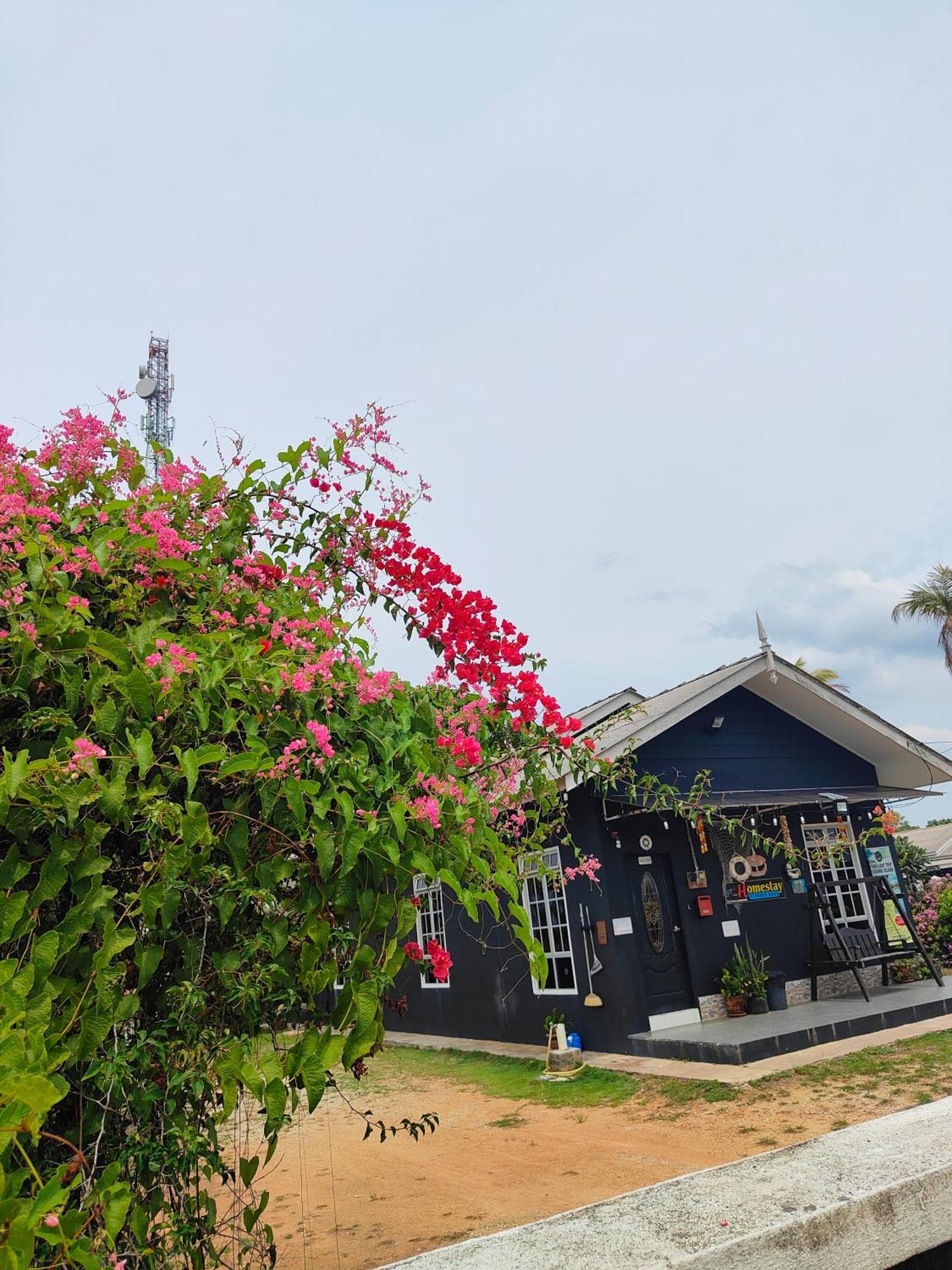 Penarik Baru Homestay Kampung Penarik Extérieur photo